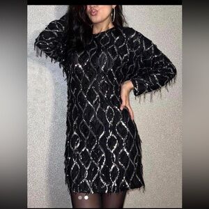 Nwt-Zara- SEQUIN FRINGED MINI DRESS